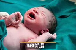 جنین فریز شده پس از ۱۲ سال در اصفهان زنده شد