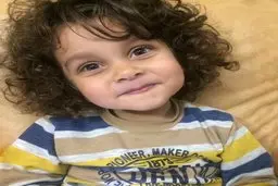 ماجرای مرگِ حافظ