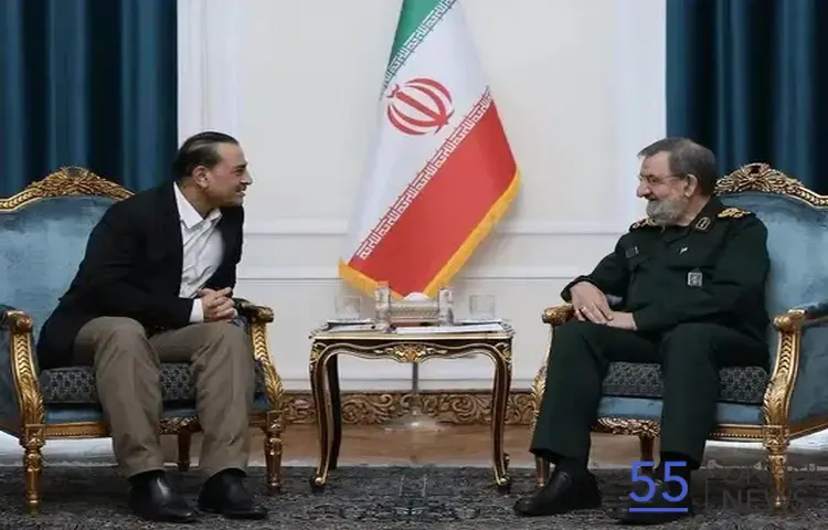 تکذیب شایعه رد درخواست دیدار فرمانده ارتش پاکستان از سوی دبیر شورای‌عالی امنیت ملی