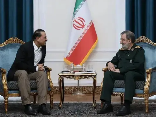 تکذیب شایعه رد درخواست دیدار فرمانده ارتش پاکستان از سوی دبیر شورای‌عالی امنیت ملی