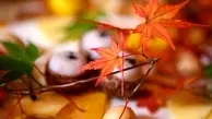 اگه شما هم توی پاییز و زمستون افسرده میشید حتما بخونید! | را‌ه‌های جلوگیری از افسردگی پاییزی