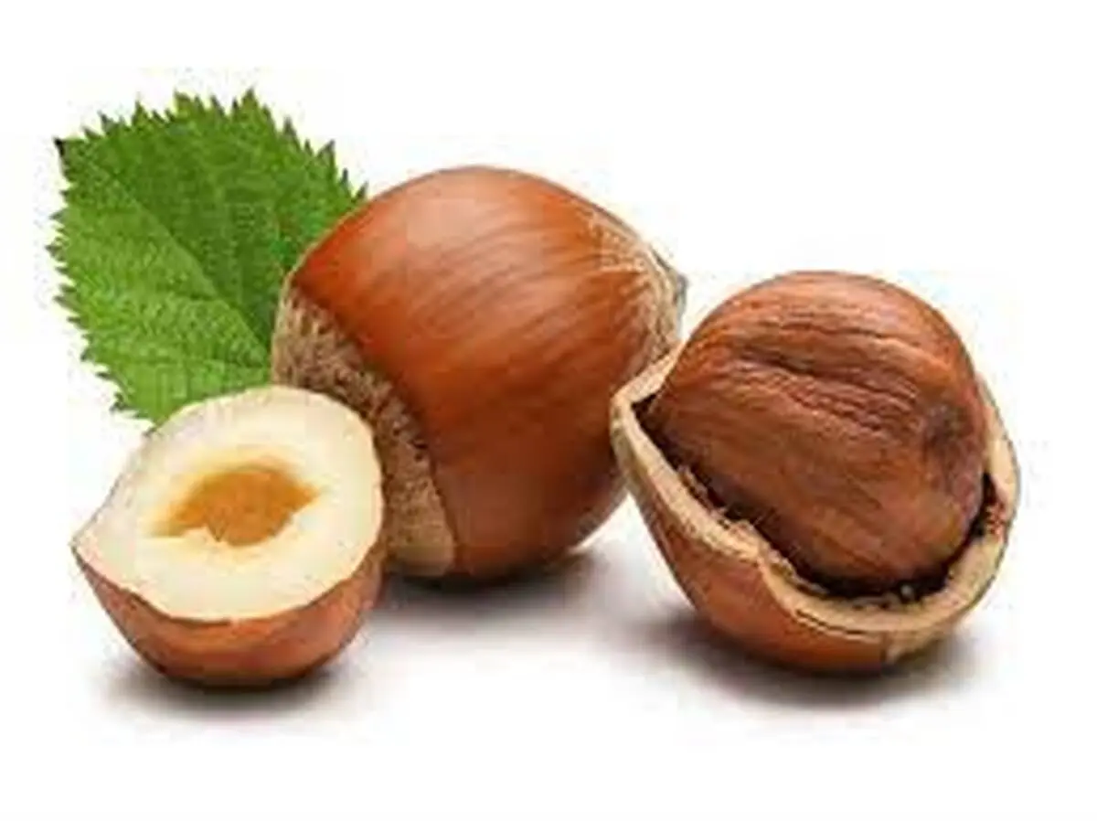 
فواید معجزه آسای مصرف فندوق