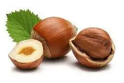 
فواید معجزه آسای مصرف فندوق