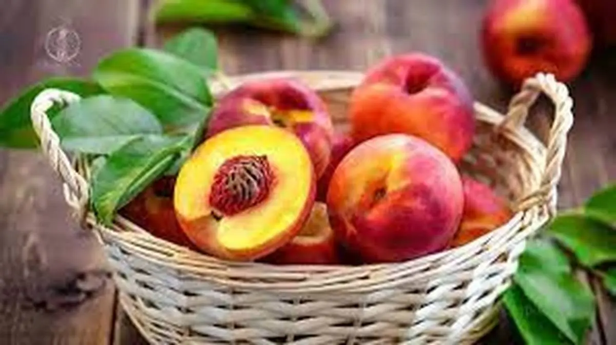 میوه‌ای که به سلامت بارداری کمک می‌کند | شلیل و خواص آن در بارداری