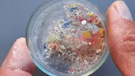 ضررهای وحشتناک پلاستیک برای سلامتی | میکروپلاستیک‌ چگونه وارد بدن ما می‌شود؟+ویدئو 