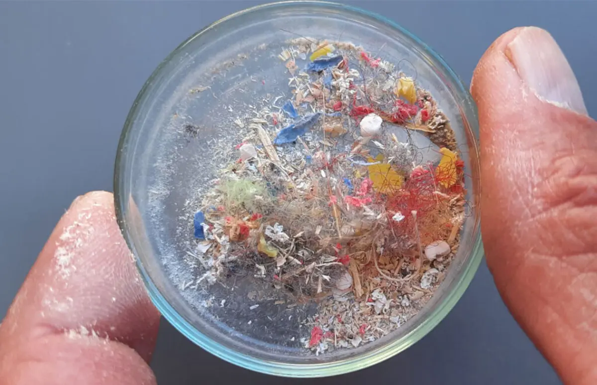 ضررهای وحشتناک پلاستیک برای سلامتی | میکروپلاستیک‌ چگونه وارد بدن ما می‌شود؟+ویدئو 