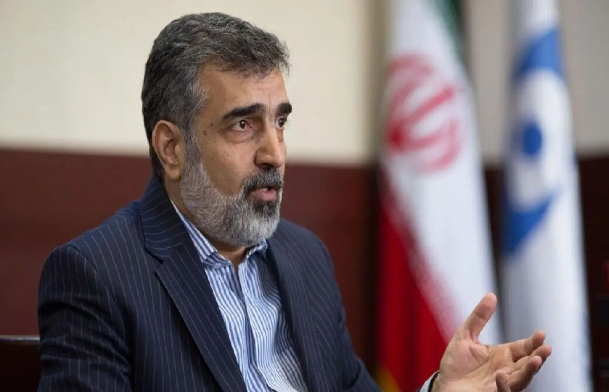 کلاه ایمنی جان سخنگوی سازمان انرژی اتمی را نجات داد