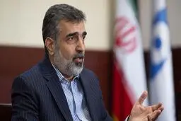 کلاه ایمنی جان سخنگوی سازمان انرژی اتمی را نجات داد