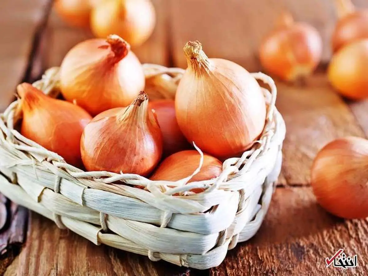 چه دمای مناسب برای نگهداری خوراکی‌های محبوب مناسب است.