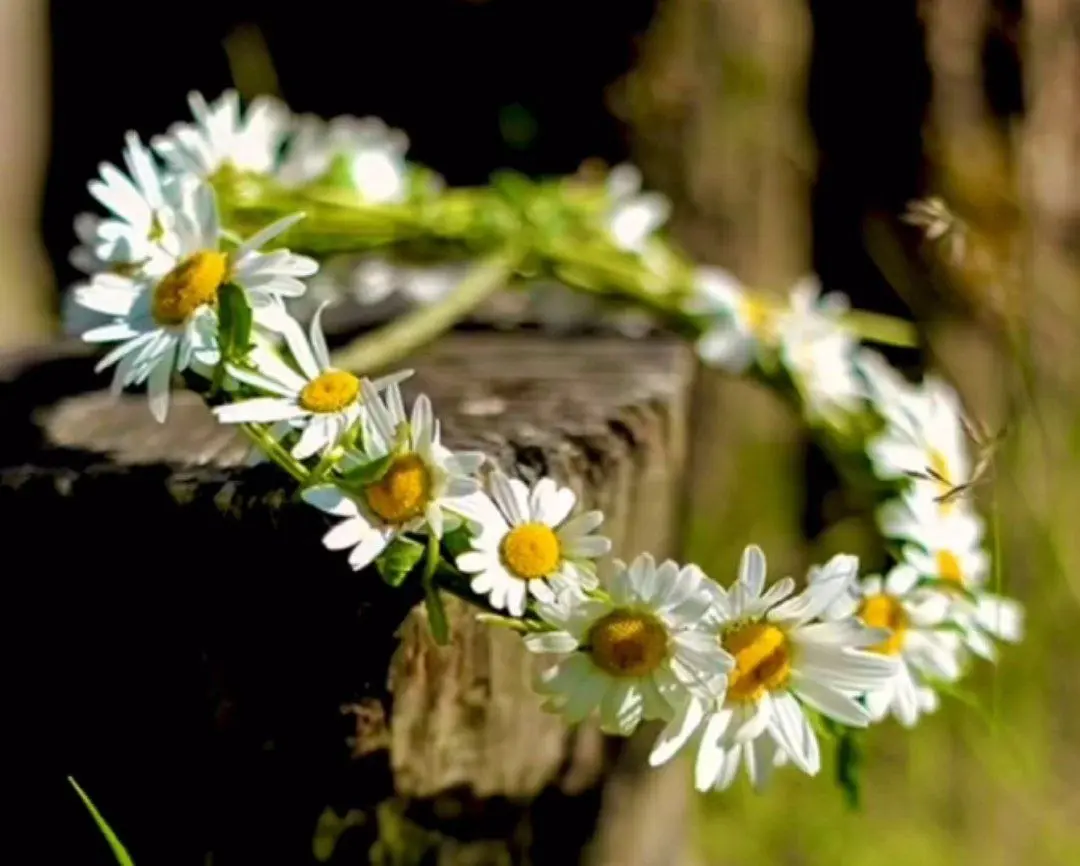 اینبار که رفتی توی طبیعت این تل گل رو درست کن | آموزش تل سر گل بابونه +ویدئو