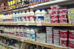 تولید و توزیع لبنیات بدون چالش و وقفه در جریان است