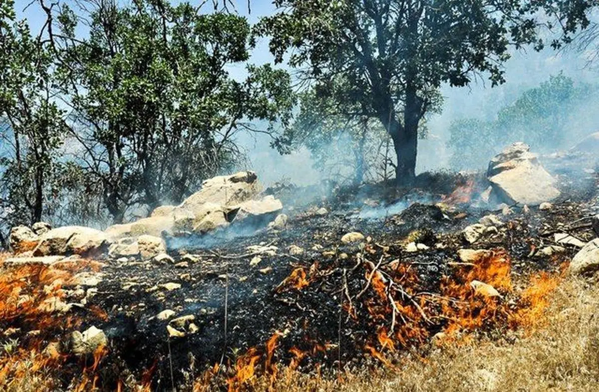 منابع طبیعی: آتش سوزی در بیش از ۲۰۰ هکتار از جنگل‌های مریوان