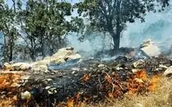 منابع طبیعی: آتش سوزی در بیش از ۲۰۰ هکتار از جنگل‌های مریوان