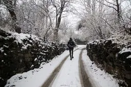 هشدار به تهرانی ها  | کولاک شدید در راه است | یخبندان در شمال تهران