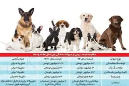 قیمت یک سگ خانگی ۴٠ میلیون تومان!