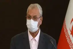 
ربیعی: مقاومت ملی در برجام به کمال خود رسیده / دیپلماسی انرژی هسته ای برای توسعه اقتصادی به پیش می‌رود
