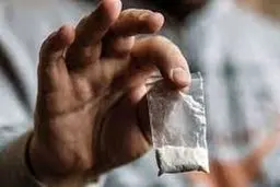 مصرف  کوکائین یک آشپز در حین ضبط برنامه +ویدئو