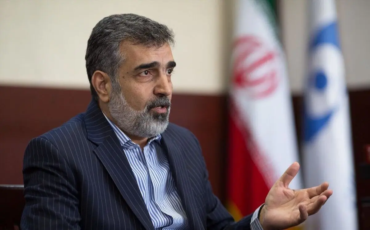 سفر سخنگوی سازمان انرژی اتمی به وین در حاشیه مذاکرات رفع تحریم‌ها