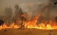 
 آتش سوزی در تالاب میانکاله |   بیش از ۱۰۰ هکتار از اراضی سوخت
