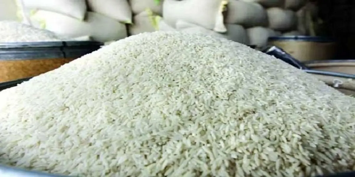 برنج ارزان در راه است ؟ | خبر خوش از بازار برای مردم