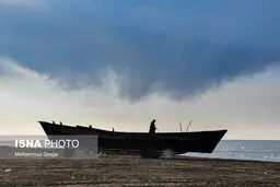 دامپزشکی: کل منطقه میانکاله مازندران تا اطلاع ثانوی قرنطینه است