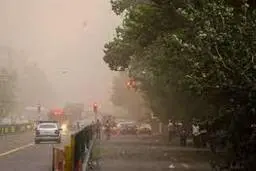 
طوفان شدید در تهران + فیلم
