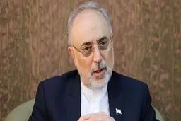 عامل کند شدن روند ساخت نیروگاه‌های ۲ و ۳ بوشهر مشخص شد