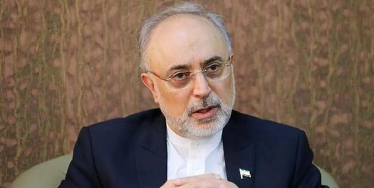 عامل کند شدن روند ساخت نیروگاه‌های ۲ و ۳ بوشهر مشخص شد
