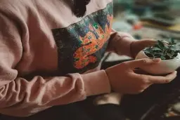 روز خود را اینگونه شروع کنید