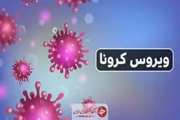 زنان باردار از ویروس کرونا نترسند