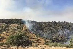   مهار آتش‌سوزی در جنگل‌های بلوط باغملک 