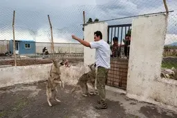  اولین مرکز اورژانس حیوانات 