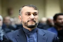 دولت ایران مصمم به توسعه همکاری با ایتالیا است