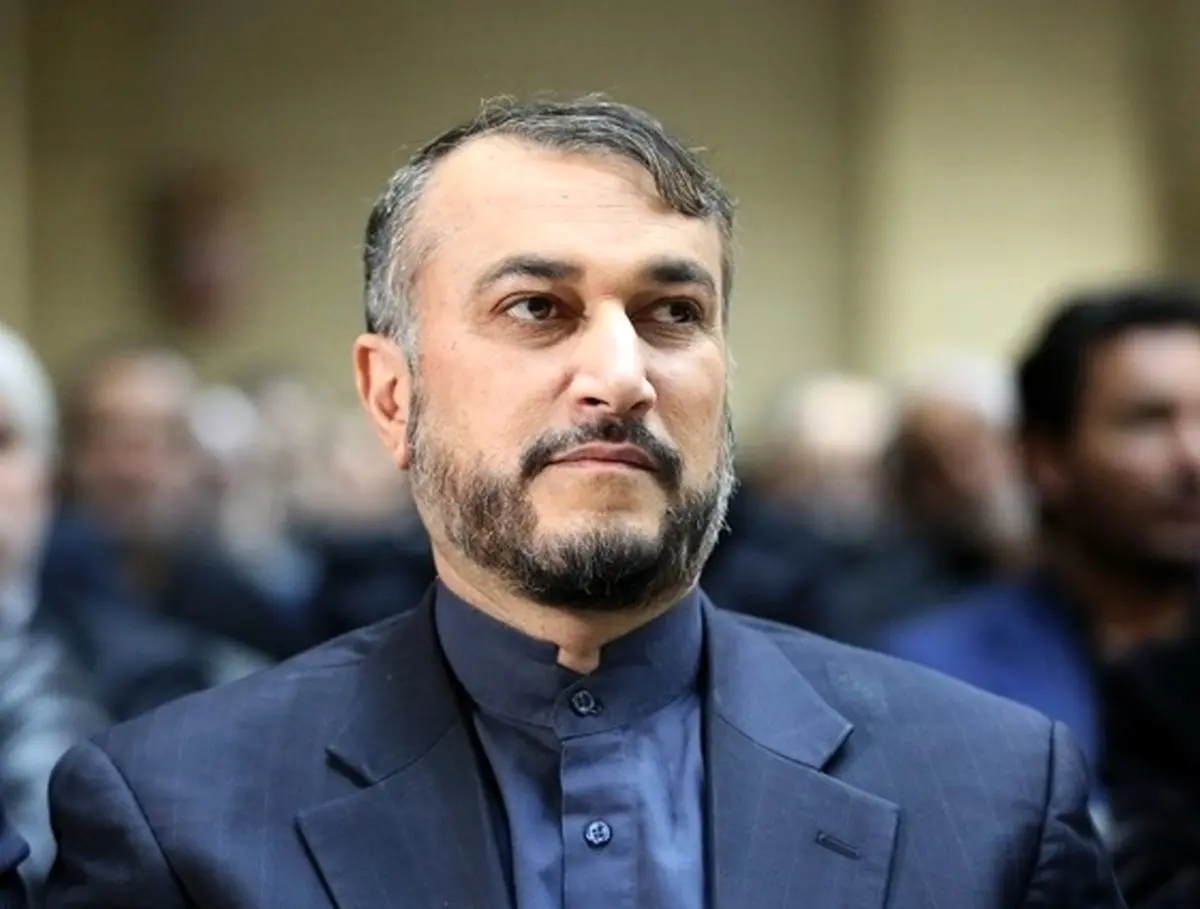 دولت ایران مصمم به توسعه همکاری با ایتالیا است