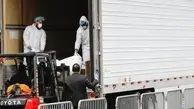 کرونا در آمریکا؛ کشف 60 جسد در چند کامیون 