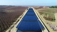 آفتاب کالیفرنیا راه حلی برای مبارزه با خشکسالی