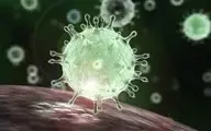 کروناویروس با فریب دادن سیستم ایمنی بدن، خود را نجات می‌دهد