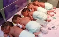 تولد ۵ قلوها در شیراز | وضعیت عمومی نوزادان مطلوب است