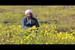حجت‌الاسلام بی‌آزار تهرانی در بیمارستان بستری شد