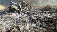  آتش در ارتفاعات خنگ و بنار و قلات گچساران خسارت سنگینی متحمل شده 