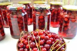 این ترشی با پلوهای مخلوط خیلی میچسبه | طرز تهیه ترشی آلبالو +ویدئو