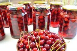 این ترشی با پلوهای مخلوط خیلی میچسبه | طرز تهیه ترشی آلبالو +ویدئو