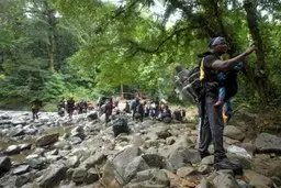 به حراج زدن جان خود برای حفاظت از محیط زیست!