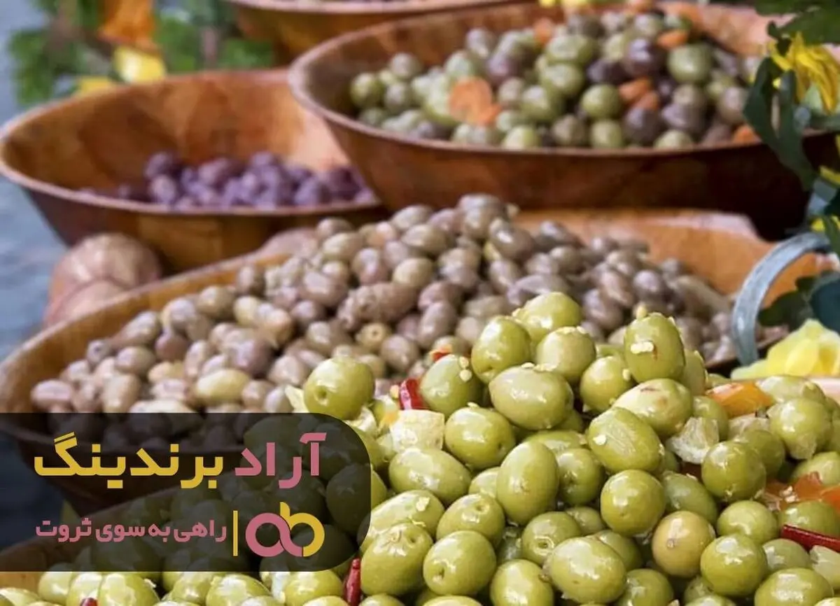 بالاخره مسیر درست پول درآوردن را کشف کردم