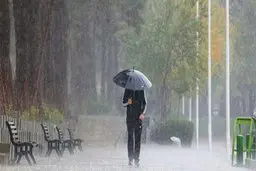  این مناطق از امروز بارانی می‌شوند | هواشناسی هشدار صادر کرد 