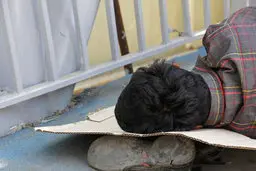 کارتن‌خواب‌ها برای اینکه یخ نزنند، هروئین بیشتری تزریق می کنند! |گزارش غم انگیز از کف شهر تهران