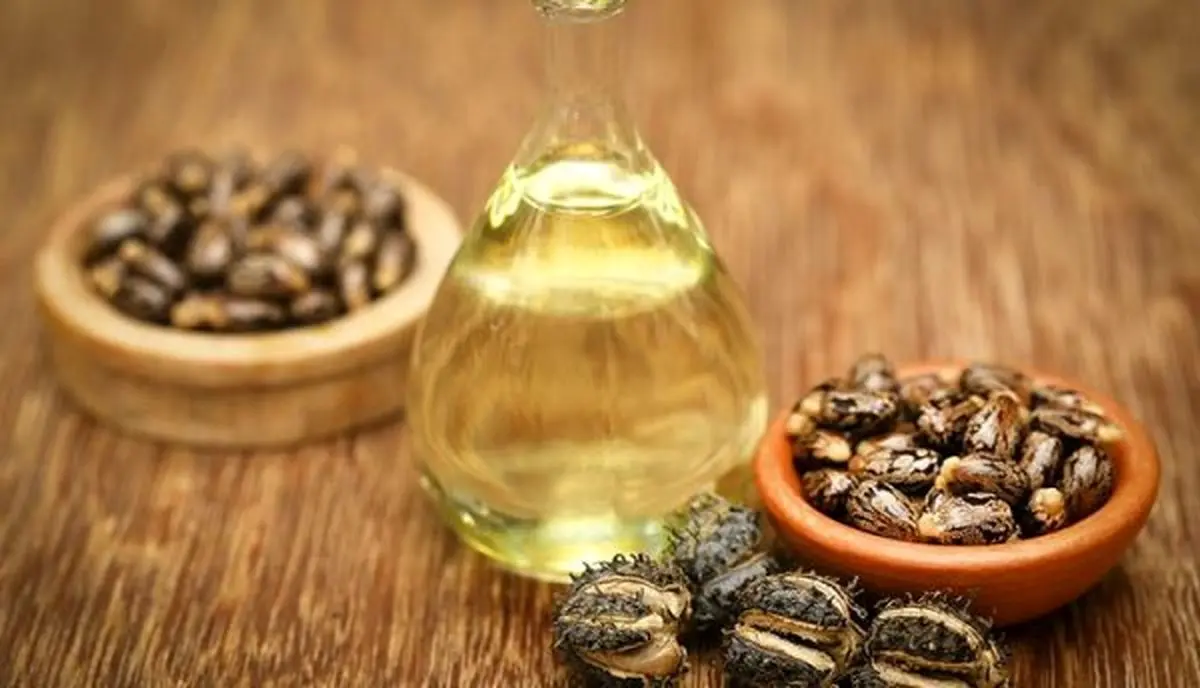 با خواص دارویی روغن کرچک آشنا شوید | تسکین زانو درد با روغن کرچک
