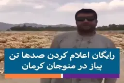 رایگان اعلام کردن صدها تن پیاز در پی تلنبار شدن + ویدئو
