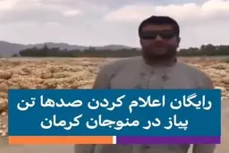 رایگان اعلام کردن صدها تن پیاز در پی تلنبار شدن + ویدئو