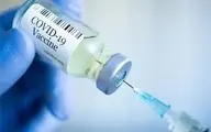 تولید ۵۰ میلیون دوز واکسن دکتر شاهین تا یک ماه آینده